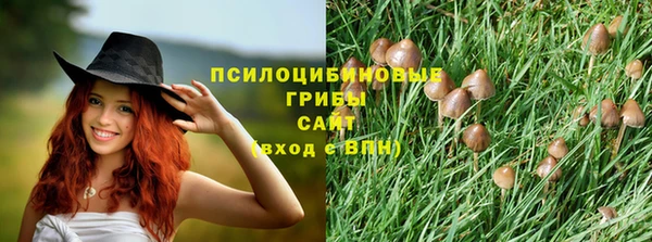 трава Горно-Алтайск