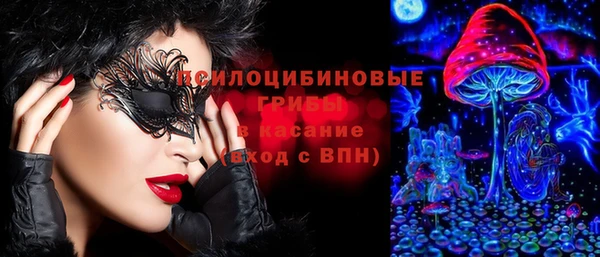 бутират Гусь-Хрустальный