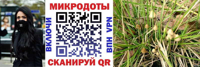 Псилоцибиновые грибы мицелий  даркнет сайт  Давлеканово 